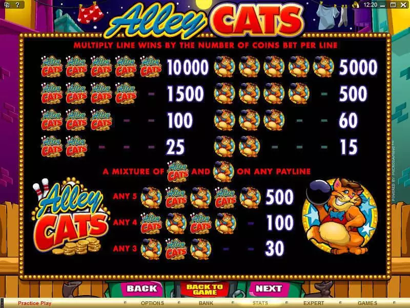 Play Alley Cats Slot Info and Rules
