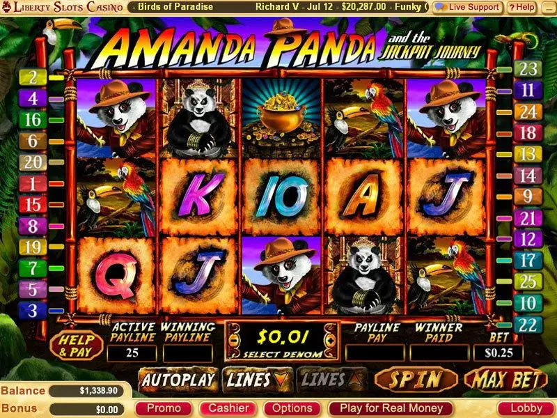 Play Amanda Panda Slot Main Screen Reels