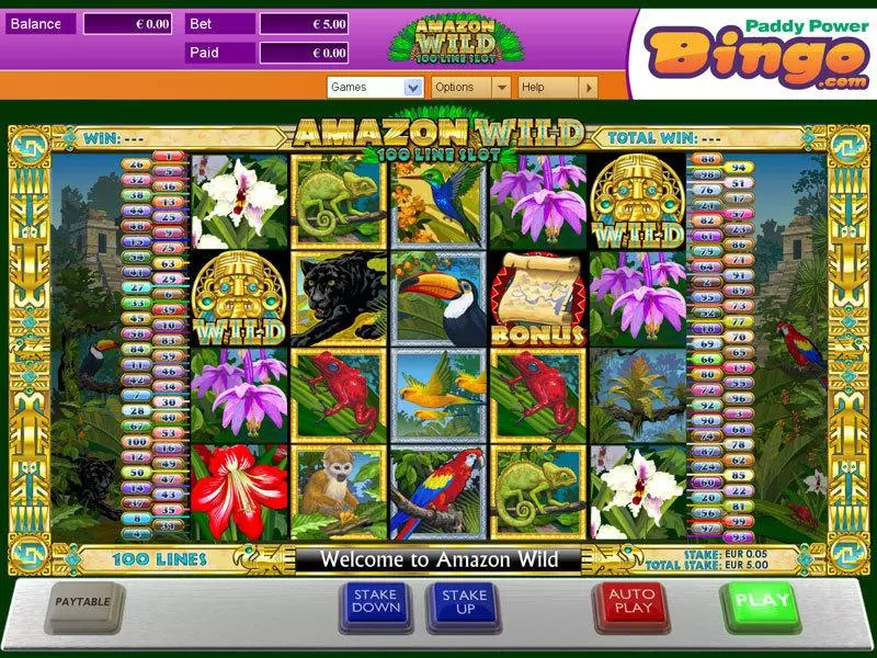 Play Amazon Wild Slot Main Screen Reels