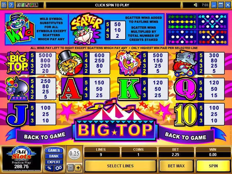 Play Big Top Slot Info and Rules