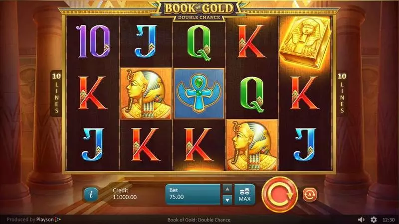Play Book of Gold: Double Chance Slot Main Screen Reels