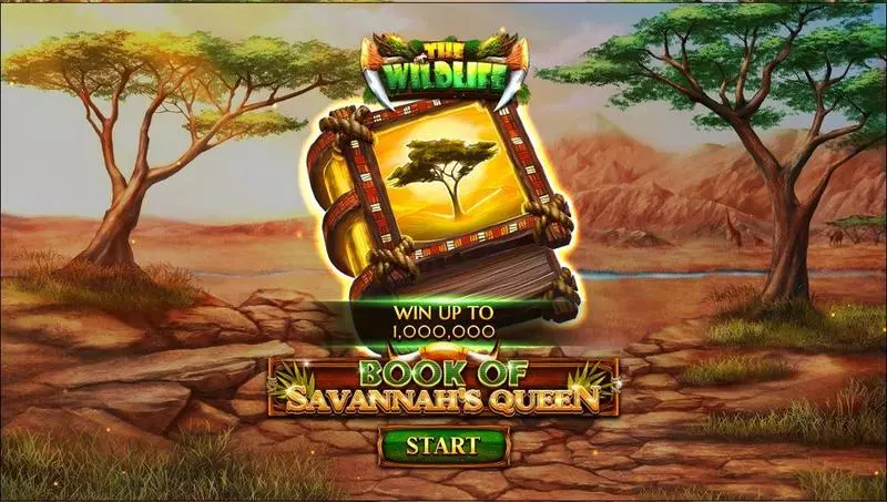 Play Book Of Savannah’s Queen Slot Introduction Screen