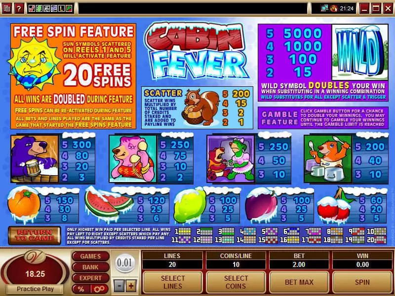 Play Cabin Fever Slot Info and Rules