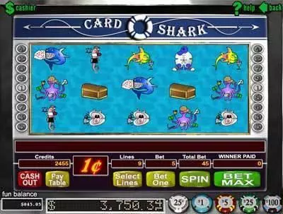 Play Card Shark Slot Main Screen Reels