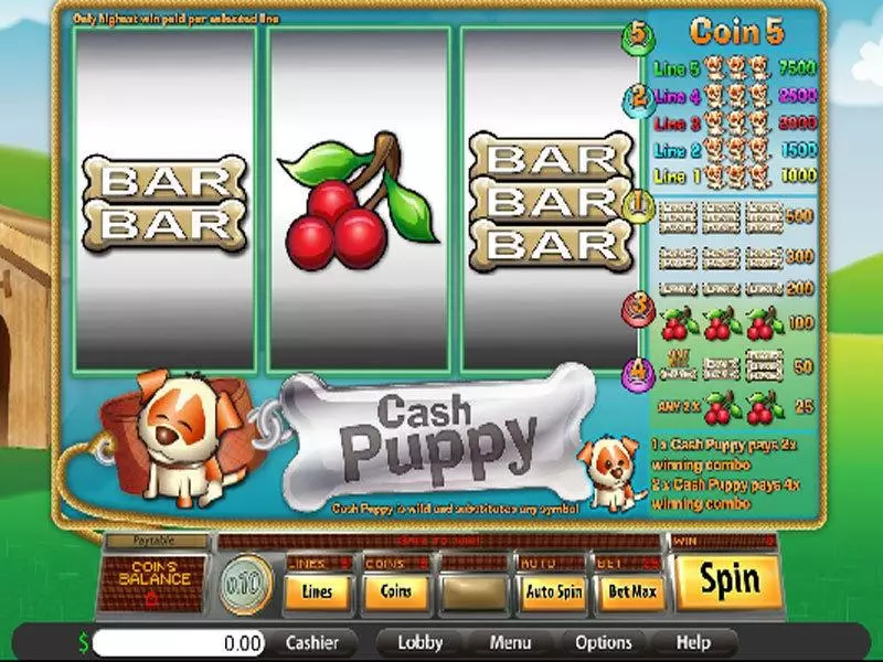 Play Cash Puppy Slot Main Screen Reels