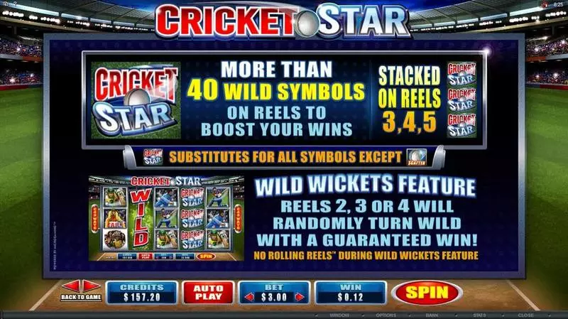 Play Cricket Star Slot Info and Rules