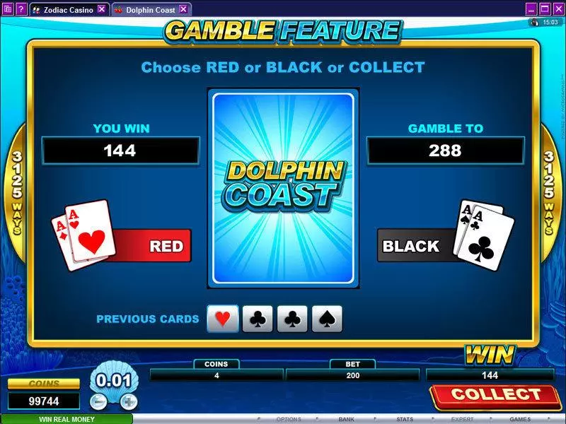 Play Dolphin Coast Slot Gamble Screen
