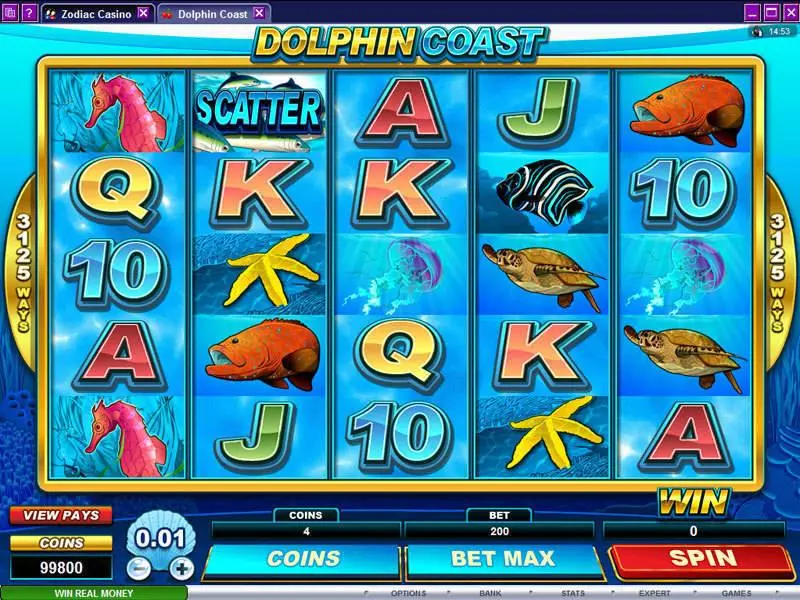 Play Dolphin Coast Slot Main Screen Reels