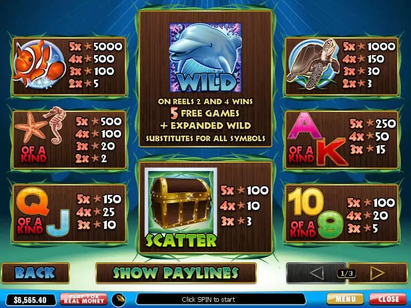 Play Dolphin Reef Slot Info and Rules