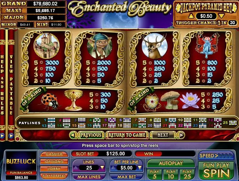 Play Enchanted Beauty Slot Info and Rules