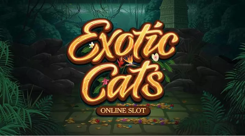 Play Exotic Cats Slot Info and Rules