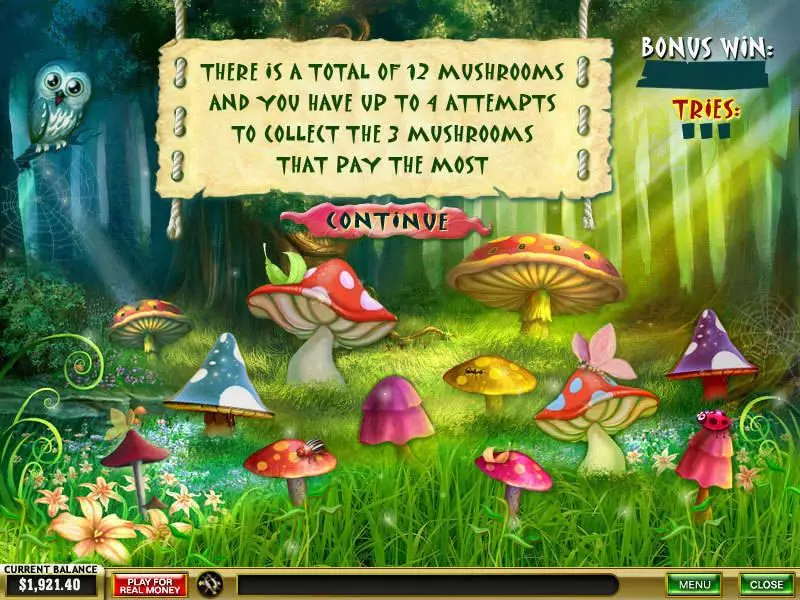Play Forest of Wonders Slot Bonus 1