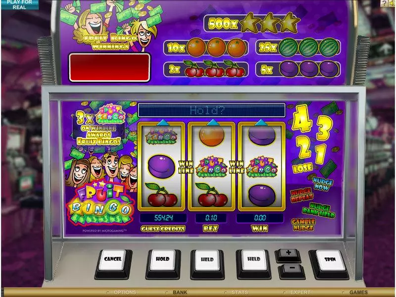 Play Fruit Bingo Slot Main Screen Reels