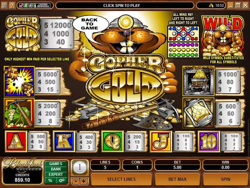 Play Gopher Gold Slot Info and Rules