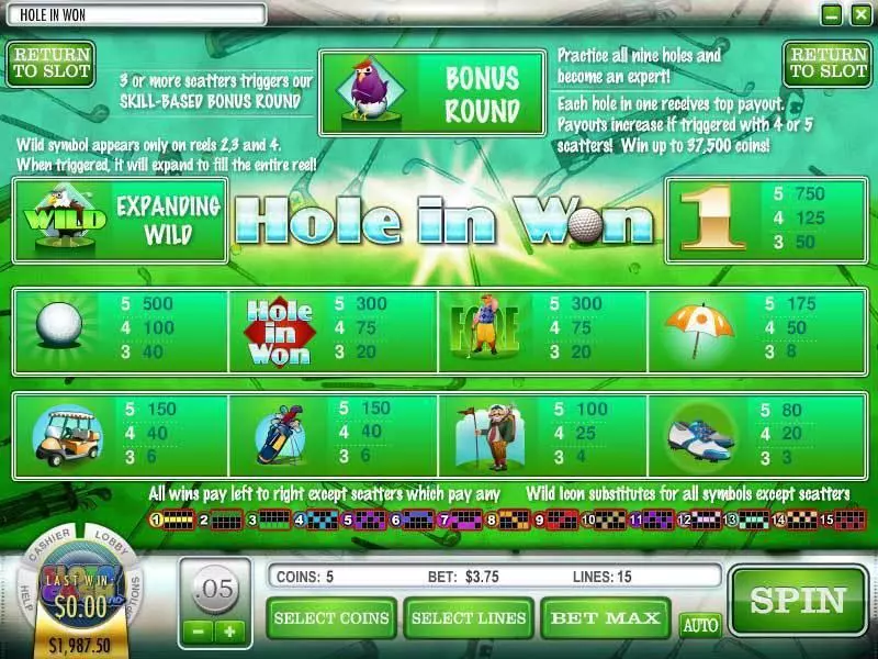 Play Hole in Won Slot Info and Rules