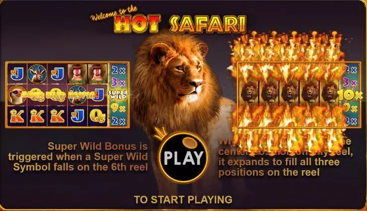 Play Hot Safari Slot Info and Rules