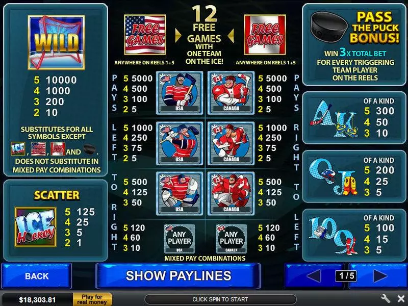 Play Ice Hockey Slot Info and Rules