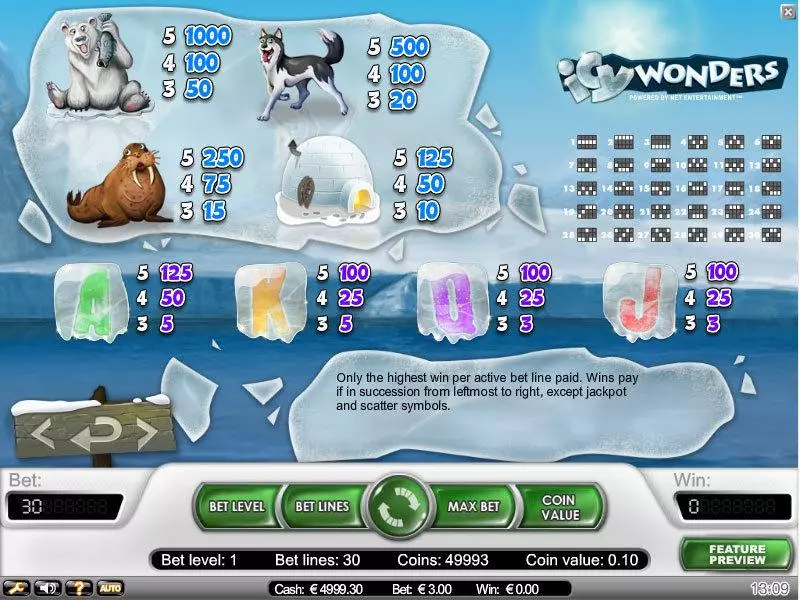 Play Icy Wonders Slot Info and Rules