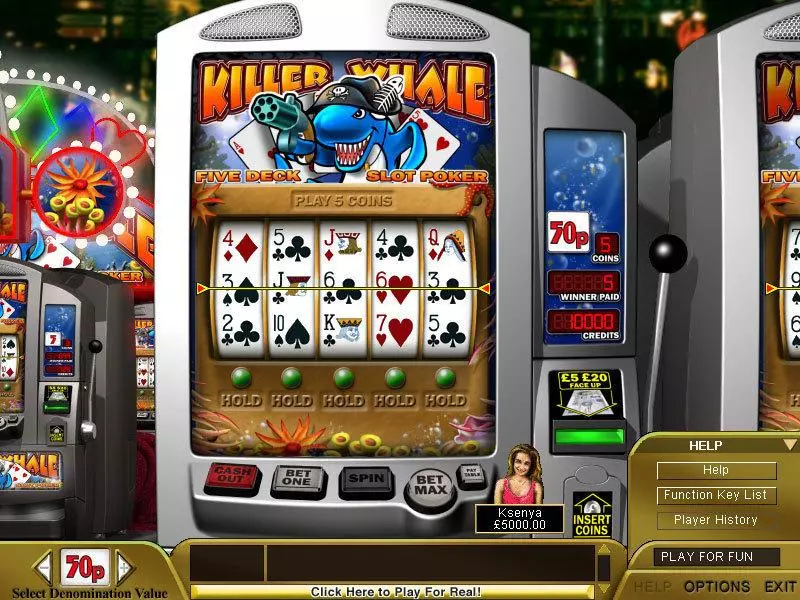 Play Killer Whale Poker Slot Main Screen Reels