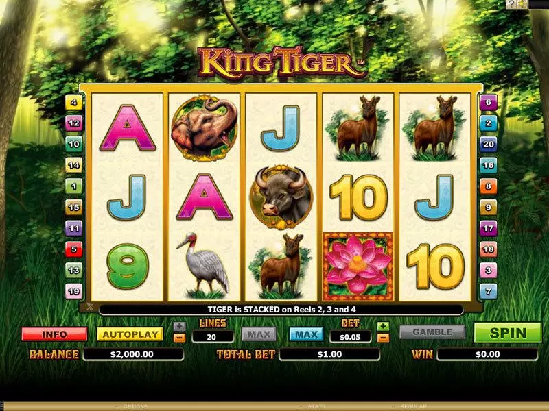 Play King Tiger Slot Main Screen Reels