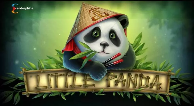 Play Little Panda Slot Info and Rules
