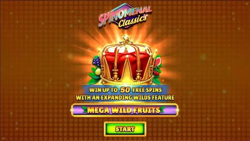 Play Mega Wild Fruits Slot Introduction Screen