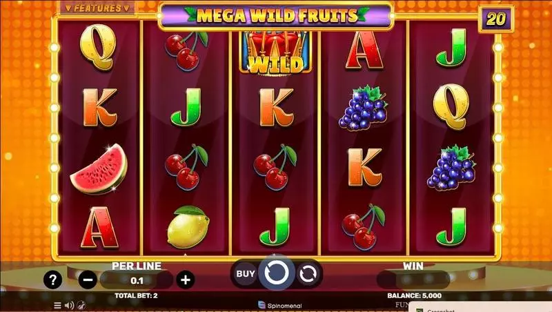 Play Mega Wild Fruits Slot Main Screen Reels