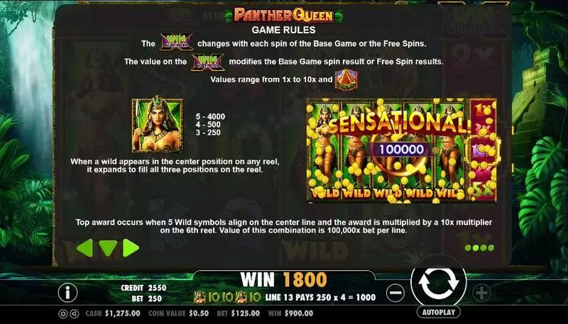 Play Panther Queen Slot Info and Rules