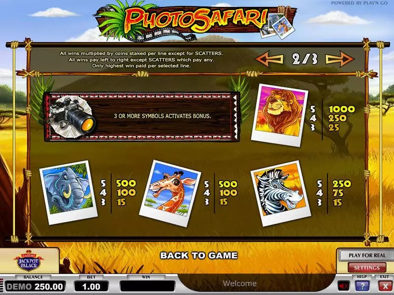 Play Photo Safari Slot Info and Rules