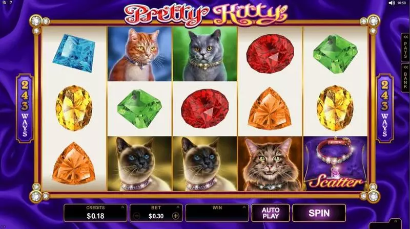 Play Pretty Kitty Slot Introduction Screen