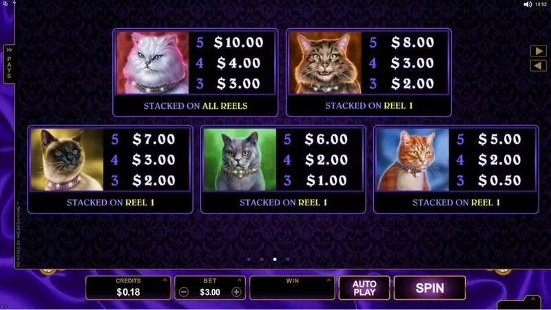 Play Pretty Kitty Slot Info and Rules