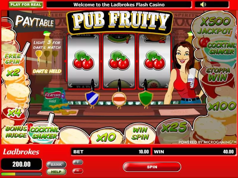 Play Pub Fruity Slot Main Screen Reels