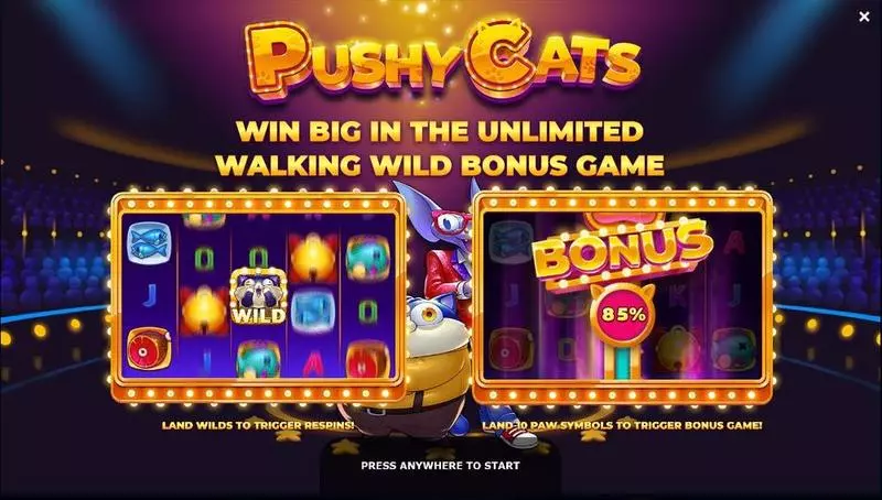 Play Pushy Cats Slot Info and Rules