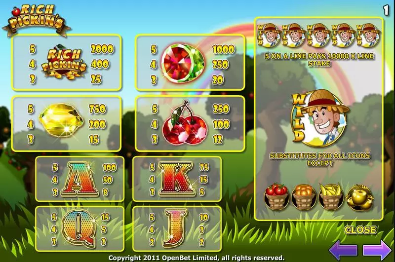 Play Rich Pickins Slot Info and Rules