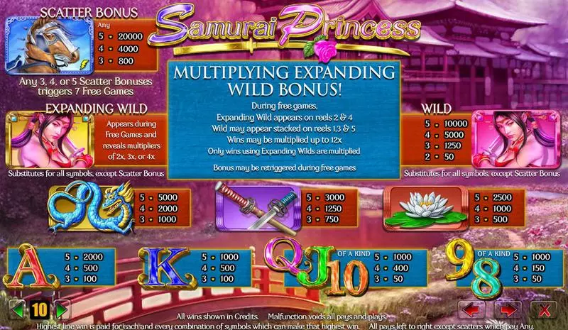 Play Samurai Princess Slot Info and Rules
