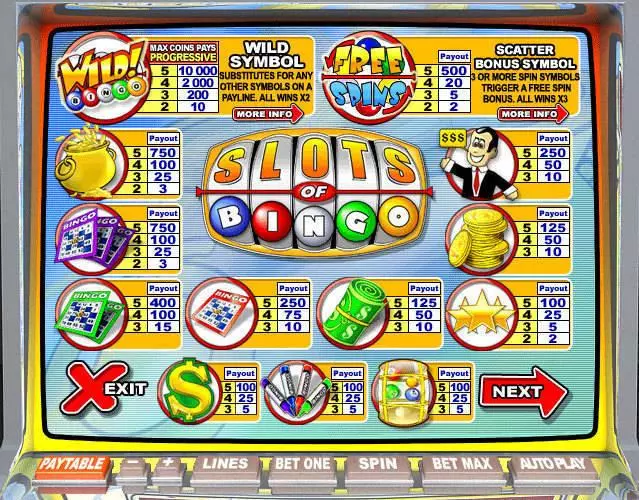 Play Slots of Bingo Slot Info and Rules