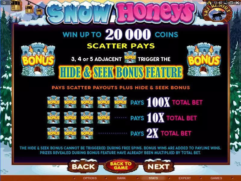 Play Snow Honeys Slot Info and Rules
