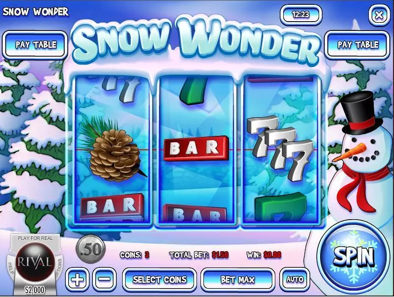 Play Snow Wonder Slot Main Screen Reels