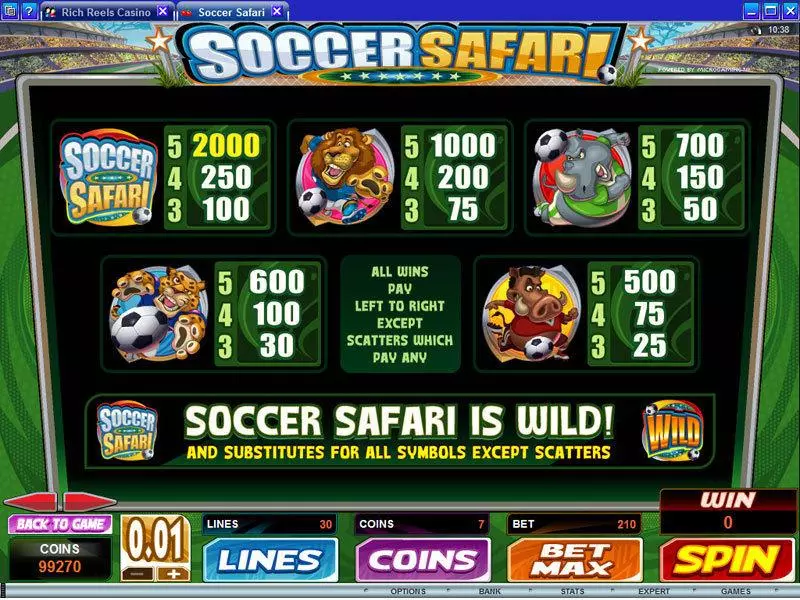 Play Soccer Safari Slot Info and Rules