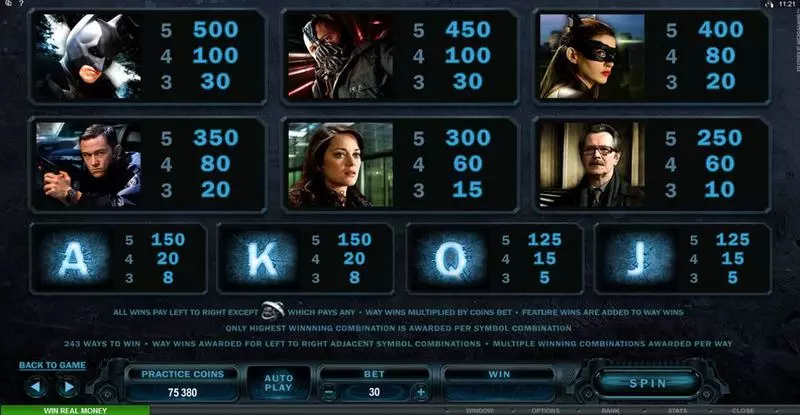 Play The Dark Knight Rises Slot Info and Rules