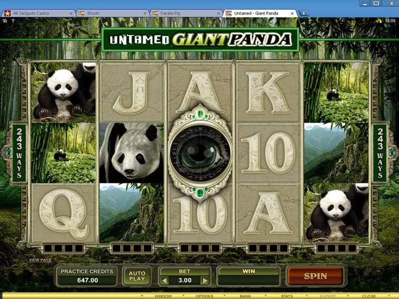 Play Untamed - Giant Panda Slot Main Screen Reels