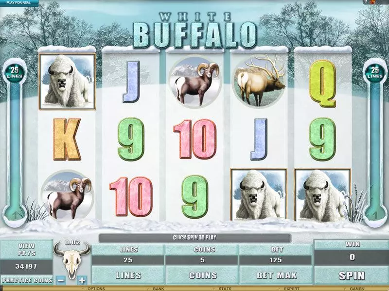 Play White Buffalo Slot Main Screen Reels