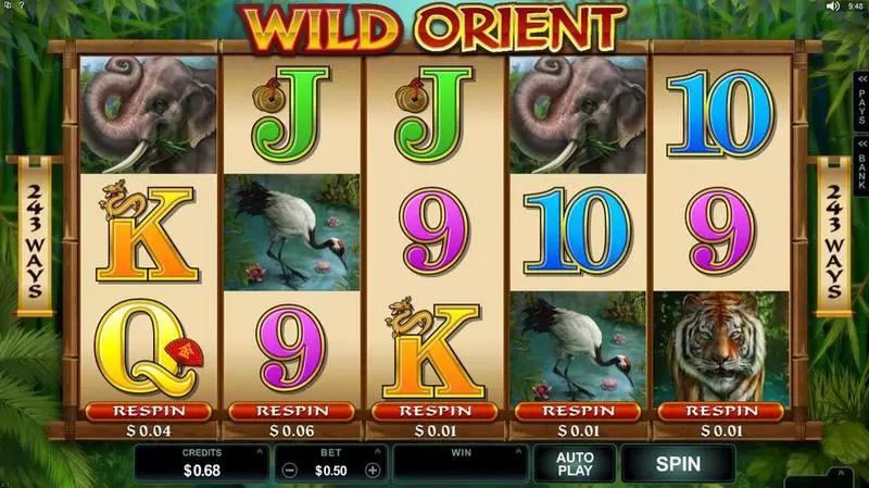 Play Wild Orient Slot Introduction Screen