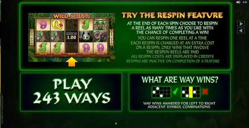 Play Wild Orient Slot Info and Rules